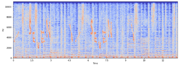 Audio C interpretation
